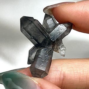 Peut inclure: Un petit amas de cristaux gris foncé et translucides présentant de multiples terminaisons prismatiques pointues rayonnant à partir d'un point central. Le spécimen minéral présente un aspect fumé semi-transparent avec des facettes géométriques.