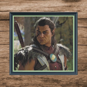 Baldur's Gate 3 Halsin Cross Stitch Pattern PDF Download
