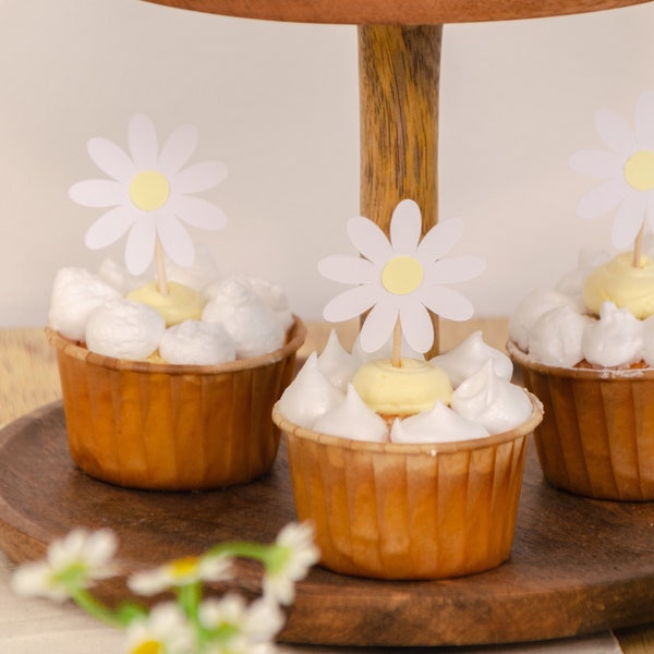 Muffin cupcake toppers 6 pcs daisy flowers anniversary