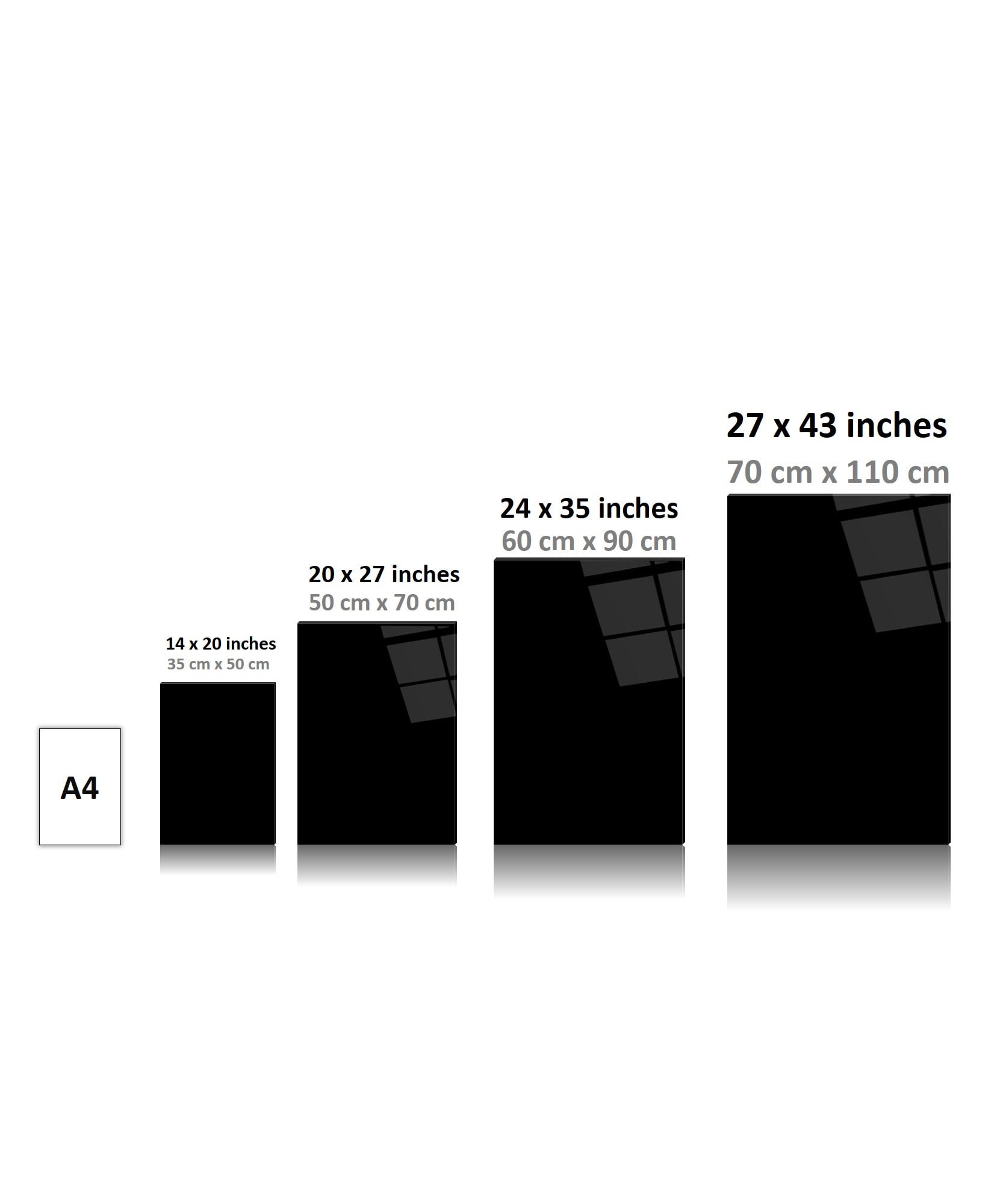 Colorful Modern Lion Glass Printing Wall Art Glass Colored Lion Wall