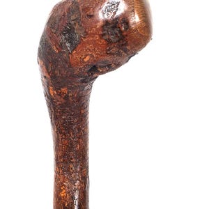 May include: A brown wooden walking stick handle featuring a natural, gnarled, and textured surface with a polished finish. The top of the handle is rounded and bulbous, showing deep wood grain patterns and dark brown knots throughout the structure.