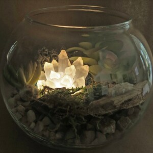 STMT DIY Crystal Terrarium Kit Gems, Essential Oils NEW