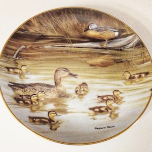 Maynard Reece Wonders of the Wetlands Duck Plates