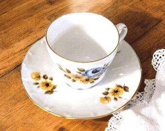 Vintage Bareuther Waldsassen Bavaria teacup and saucer.