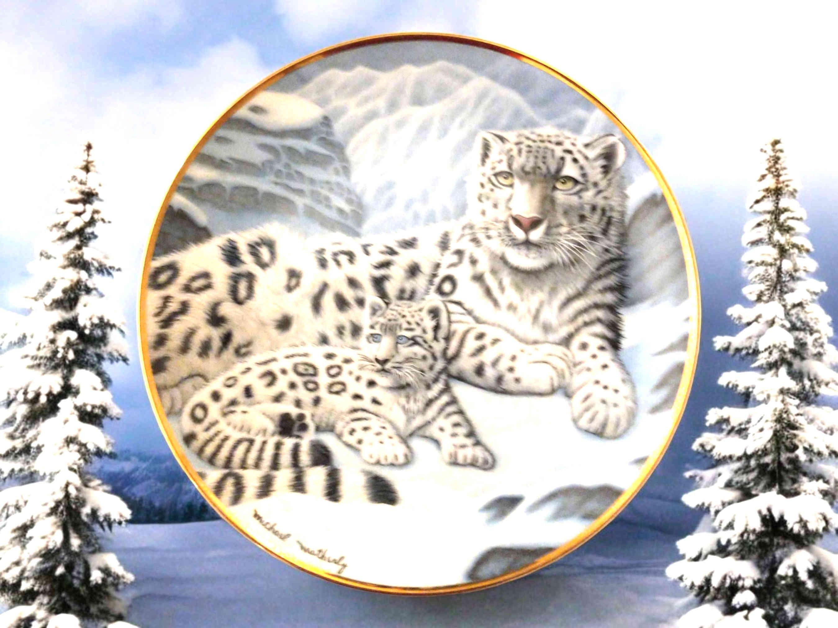 Snow Leopards by Michael Matherly