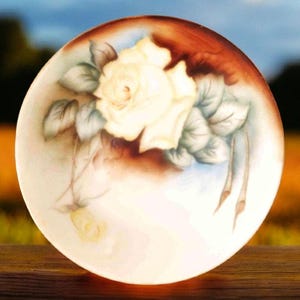 Limoges Vignaud  salad/dessert  plates (2)