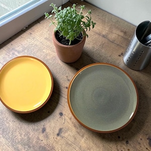 May include: Two round ceramic plates with brown rims. One plate features a solid bright yellow center, while the other plate has a muted sage green center. The plates are positioned near a small potted green plant and a metal utensil holder.