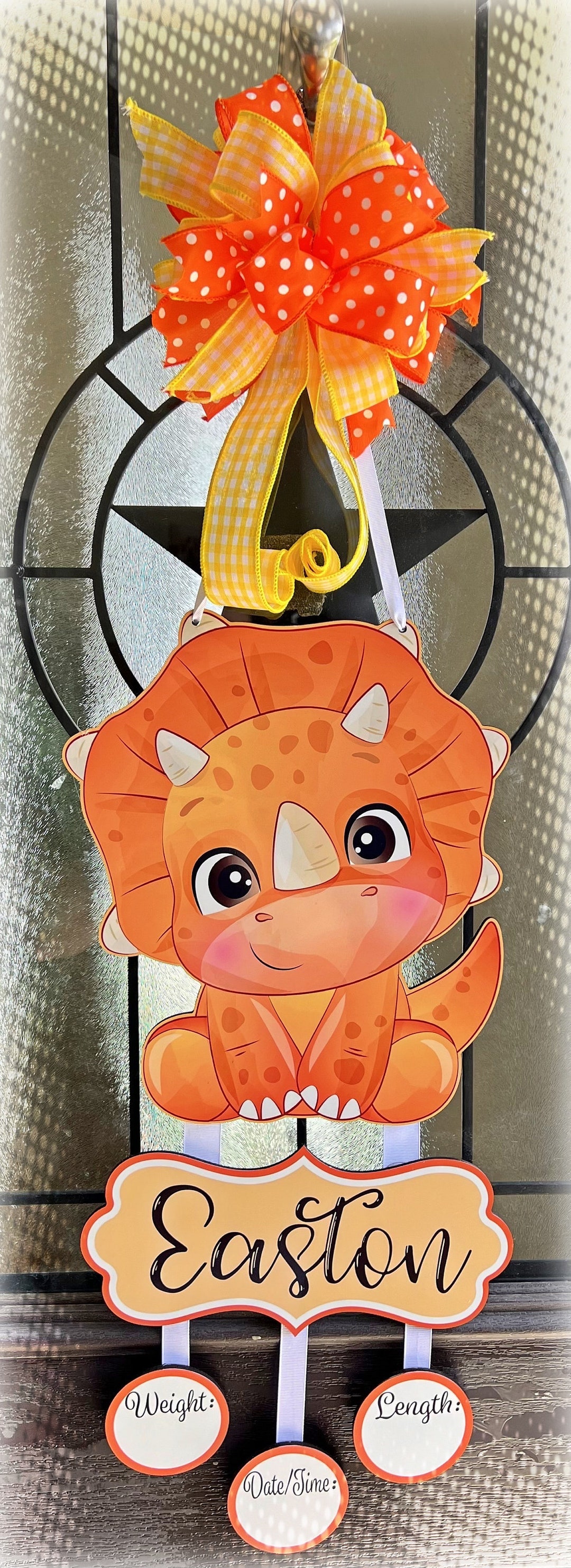 Dinosaur Baby Door Hanger, Baby Hospital Door Hanger, Personalized Baby