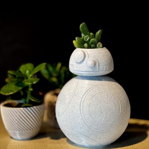 May include: A light grey, spherical planter resembling the Star Wars droid BB-8, with a small succulent plant growing from the top. The planter features detailed panel lines and circular designs. Other small potted plants are in the background.