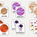 Space Memory Card Game, Educational Game, Kid Game, Homeschool ...