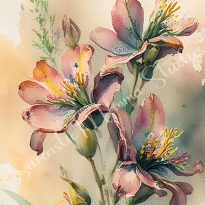 Aquarelle de fleurs d'alstroemeria 4 pcs 300 dpi JPEG, clipart alstroemeria, art de la nature, aquarelle de fleurs, usage Commercial