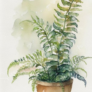 Watercolor Boston Fern 4pcs 300 dpi JPEG, Potted Plant Clip Art, Nature Digital Art, Watercolor fern plant, Potted Fern, Commercial Use