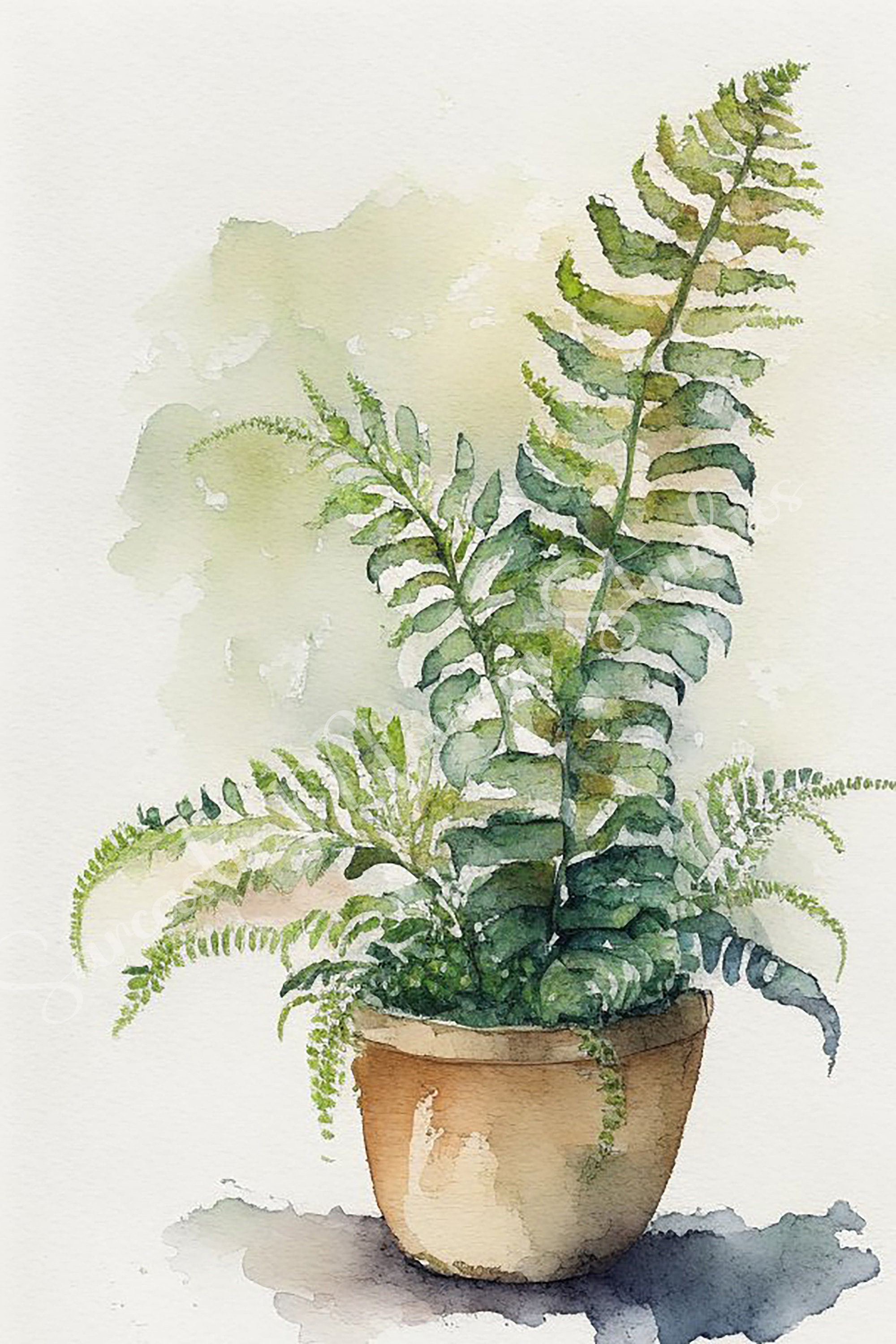Watercolor Potted Boston Fern Clip Art (Digital Download)