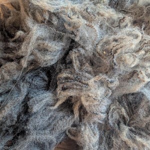 1 lb raw lambs wool