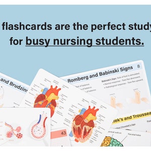 May include: Flashcards for nursing students with medical illustrations and text. The cards display anatomical diagrams of the heart, lungs, and neurological signs. Text on the cards includes "Kernig's and Brudzinski Signs" and "Romberg and Babinski Signs."