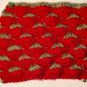 Strawberry Stitch Crochet Pattern