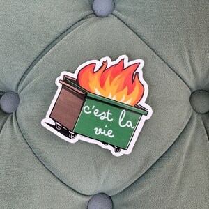 C&#39;est La Vie Dumpster Fire Sticker