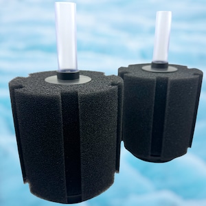 Bio Sponge Filter - X-Large Aquarium Sponge Filter - Filter for fish tank - shrimp filter - fry filter - fish tank filter - breeding  2 pack