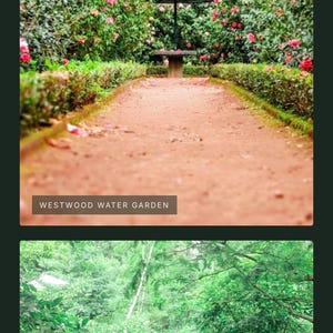 Pode incluir: Um caminho de jardim sereno leva a um pequeno gazebo, ladeado por vibrantes arbustos floridos rosa e sebes cuidadas. A imagem apresenta o texto "WESTWOOD WATER GARDEN" e o logotipo "EVERGREEN LANDSCAPE DESIGN".