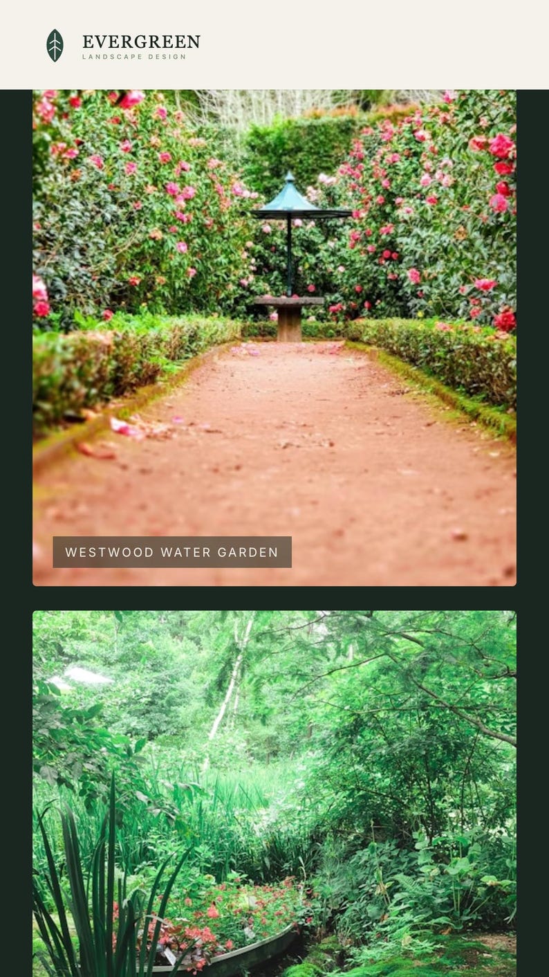 Pode incluir: Um caminho de jardim sereno leva a um pequeno gazebo, ladeado por vibrantes arbustos floridos rosa e sebes cuidadas. A imagem apresenta o texto "WESTWOOD WATER GARDEN" e o logotipo "EVERGREEN LANDSCAPE DESIGN".