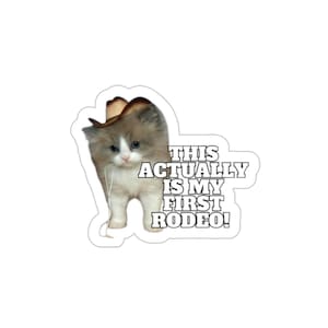 Esta es mi primera pegatina o imán de gato troquelado de rodeo, meme divertido de vaquero.