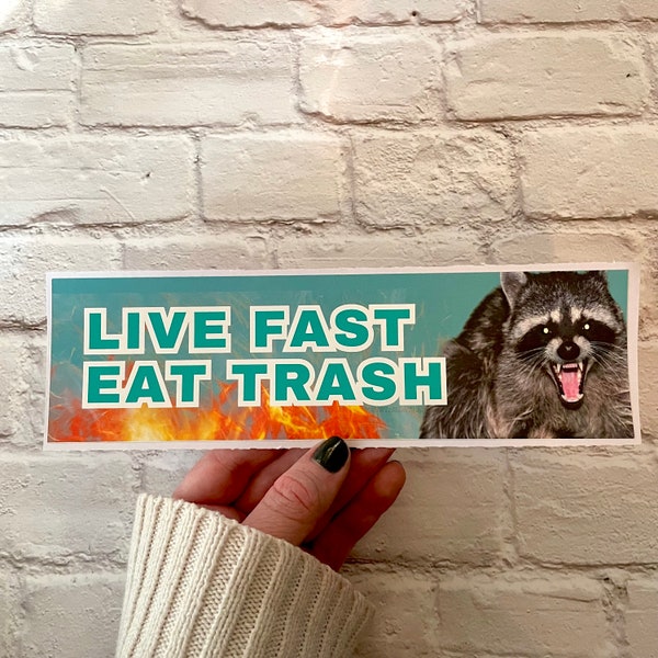 Live Fast, Eat Trash Racoon Bumper Sticker or Magnet | Funny Sticker | Satire | Gen Z Humor 8.5" x 2.5" Premium Weather-proof Vinyl