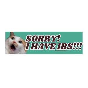 Sorry! I have IBS!!! Cat Bumper Sticker OR Magnet | Funny Sticker | Cute Cat Sticker | Tummy Hurts | Satire | Gen Z Humor | 8.5" x 2.5"