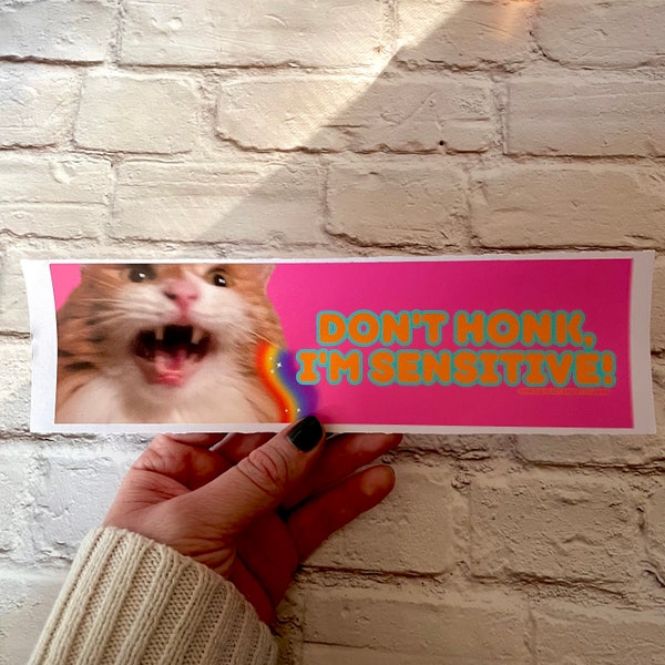 Don't Honk, I'm Sensitive! Cat Bumper Sticker or Magnet | Funny Sticker | Satire | Cat Mom Dad | Rainbow | Cute | Gen Z Humor 8.5" x 2.5"