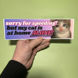 Sorry for speeding but my cat is at home alone! Bumper Sticker OR Magnet | Funny Cat Sticker | Laptop Sticker | Gen Z Meme | 8.5" x 2.5"