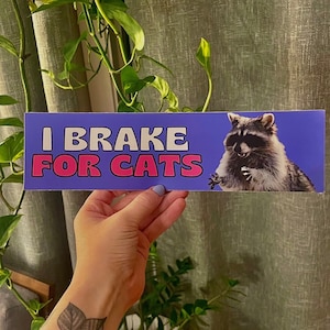 I Brake For Cats     | Raccoon Sticker | Animal Lover Sticker | Cute | Satire | 8.5" x 2.5" | Bumper Sticker OR Magnet