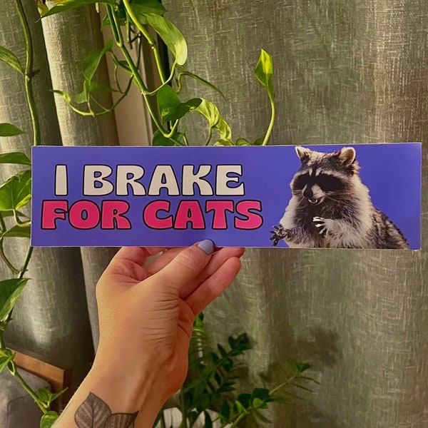 I Brake For Cats     | Raccoon Sticker | Animal Lover Sticker | Cute | Satire | 8.5" x 2.5" | Bumper Sticker OR Magnet