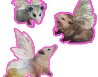 Possum Fairy Sticker 3 Pack, Funny Waterproof Vinyl Laptop Stickers, Cute Weird Animal Meme Decals, Gift for Possum Lovers
