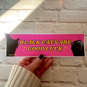 Black Cats are Good Luck | 8.5" x 2.5" | Hydroflask Sticker | Gen Z Meme | Bumper Sticker OR Magnet Premium Weather-proof Vinyl