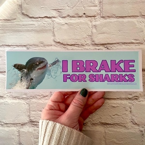 I brake for sharks Bumper Sticker or Magnet | Funny Sticker | Satire | Gen Z Humor 8.5&quot; x 2.5&quot; Premium Weather-proof Vinyl