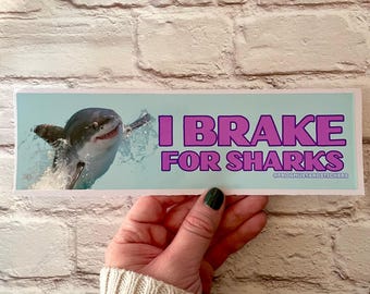 I brake for sharks Bumper Sticker or Magnet | Funny Sticker | Satire | Gen Z Humor 8.5&quot; x 2.5&quot; Premium Weather-proof Vinyl