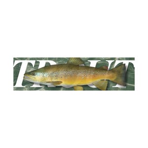 TROUT  | 8.5&quot; x 2.5&quot; | Car or Water Bottle Sticker | Fishing Meme | Bumper Sticker OR Magnet