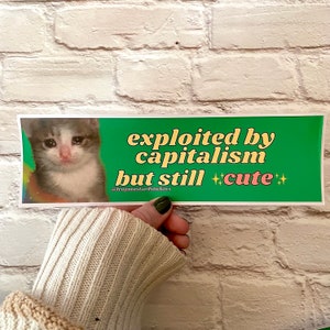 Exploited by Capitalism but Still Cute | Meme Gen Z Sticker | 8.5" x 2.5" | Bumper Sticker OR Magnet Premium Weather-proof Vinyl