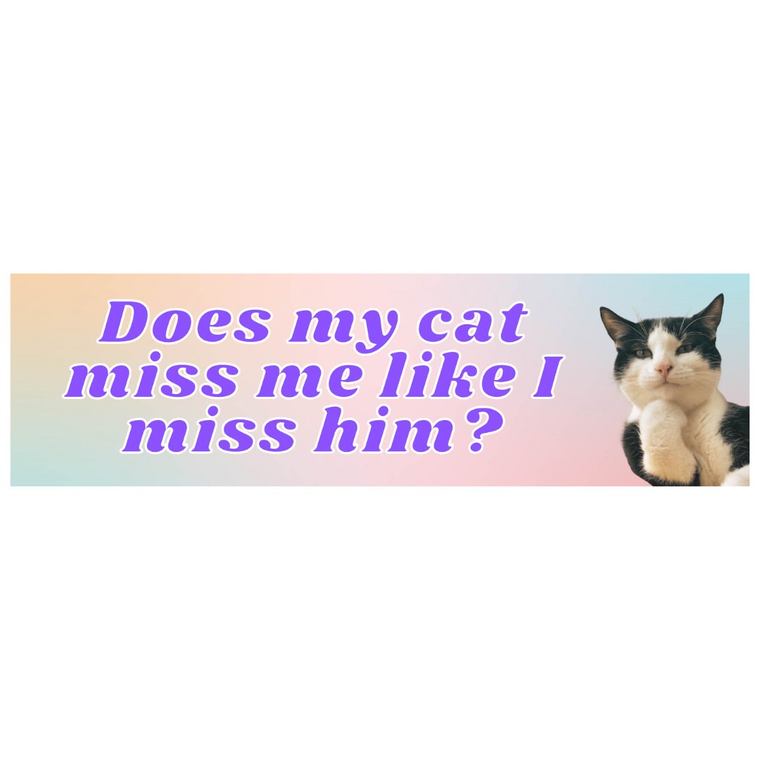 Does My Cat Miss Me Like I Miss Him Bumper Sticker Funny Sticker Crystal Sticker 8.5 X 2.5
