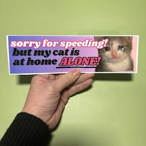 Sorry for speeding but my cat is at home alone! Bumper Sticker OR Magnet | Funny Cat Sticker | Laptop Sticker | Gen Z Meme | 8.5&quot; x 2.5&quot;