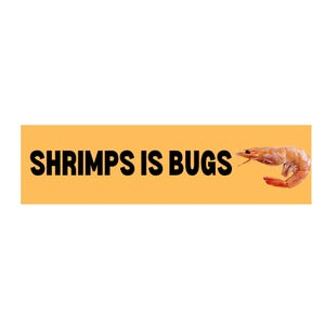 May include: A rectangular orange banner with the text "SHRIMPS IS BUGS" in bold black letters. A cooked shrimp is on the right side of the banner. The background is white.