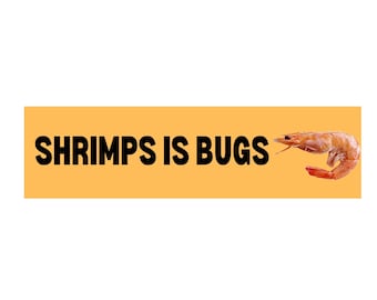May include: A rectangular orange banner with the text "SHRIMPS IS BUGS" in bold black letters. A cooked shrimp is on the right side of the banner. The background is white.