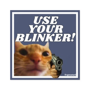 Are Blinkers Bad For You? – Cloud Cat