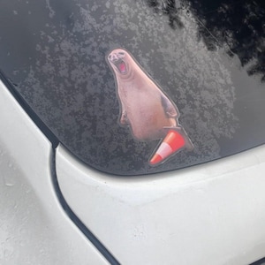 Neil the Seal Die Cut Sticker, Funny Gen Z Meme Decal image 2