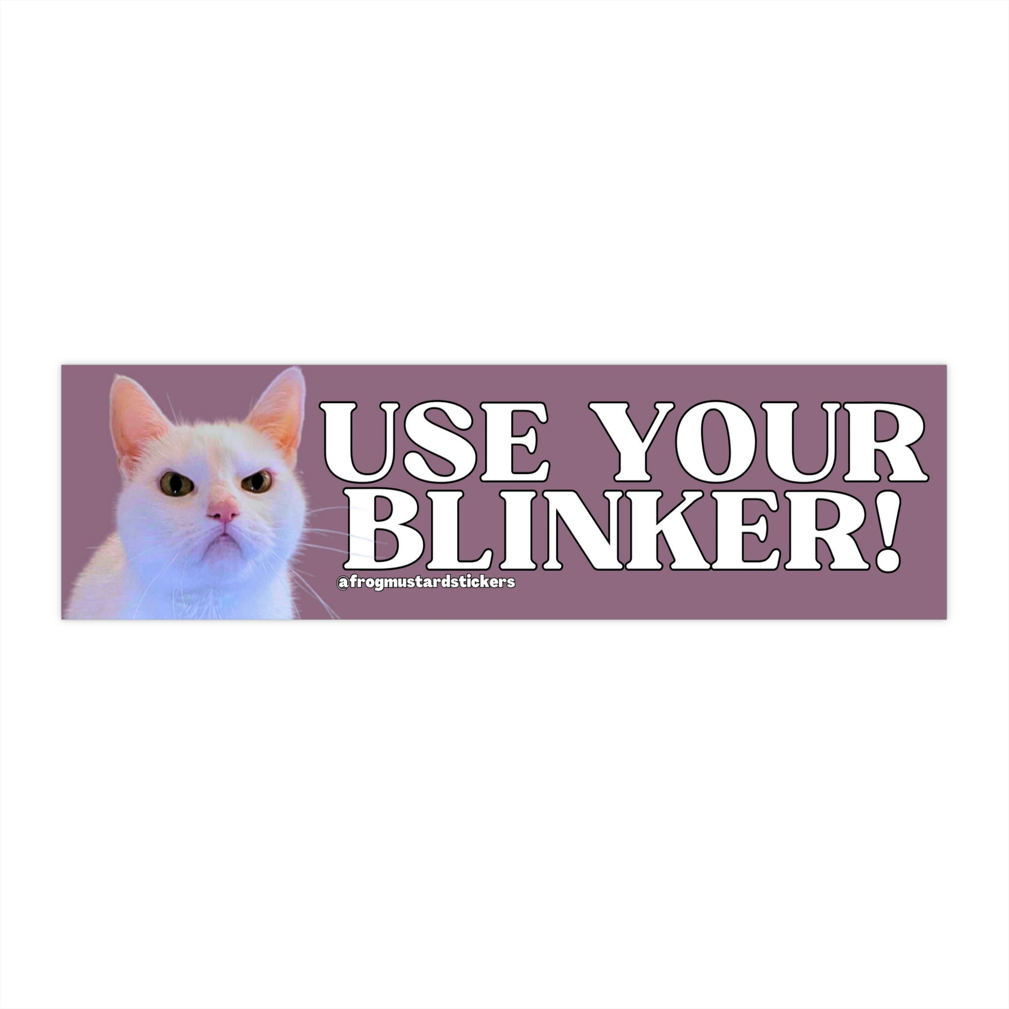 Are Blinkers Bad For You? – Cloud Cat