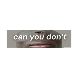 can you don&#39;t | Meme Car Bumper Sticker or Magnet | Brainrot Unhinged | Meme Sticker | 8.5&quot; x 2. Premium Weather-proof Vinyl