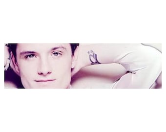 Josh Hutcherson Bumpersticker of magneet: Gen Z vinylsticker (8,5 x 2,5 inch)