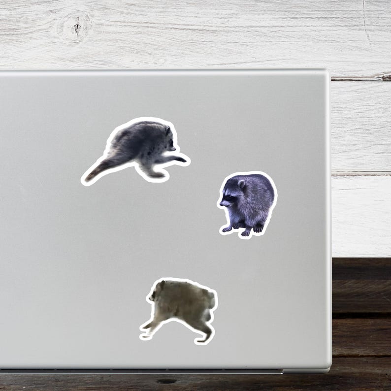 May include: Three individual die-cut stickers featuring raccoons in various poses. One sticker shows a raccoon in a dynamic running posture, another depicts a seated raccoon, and the third shows a raccoon in a low, crouching position.
