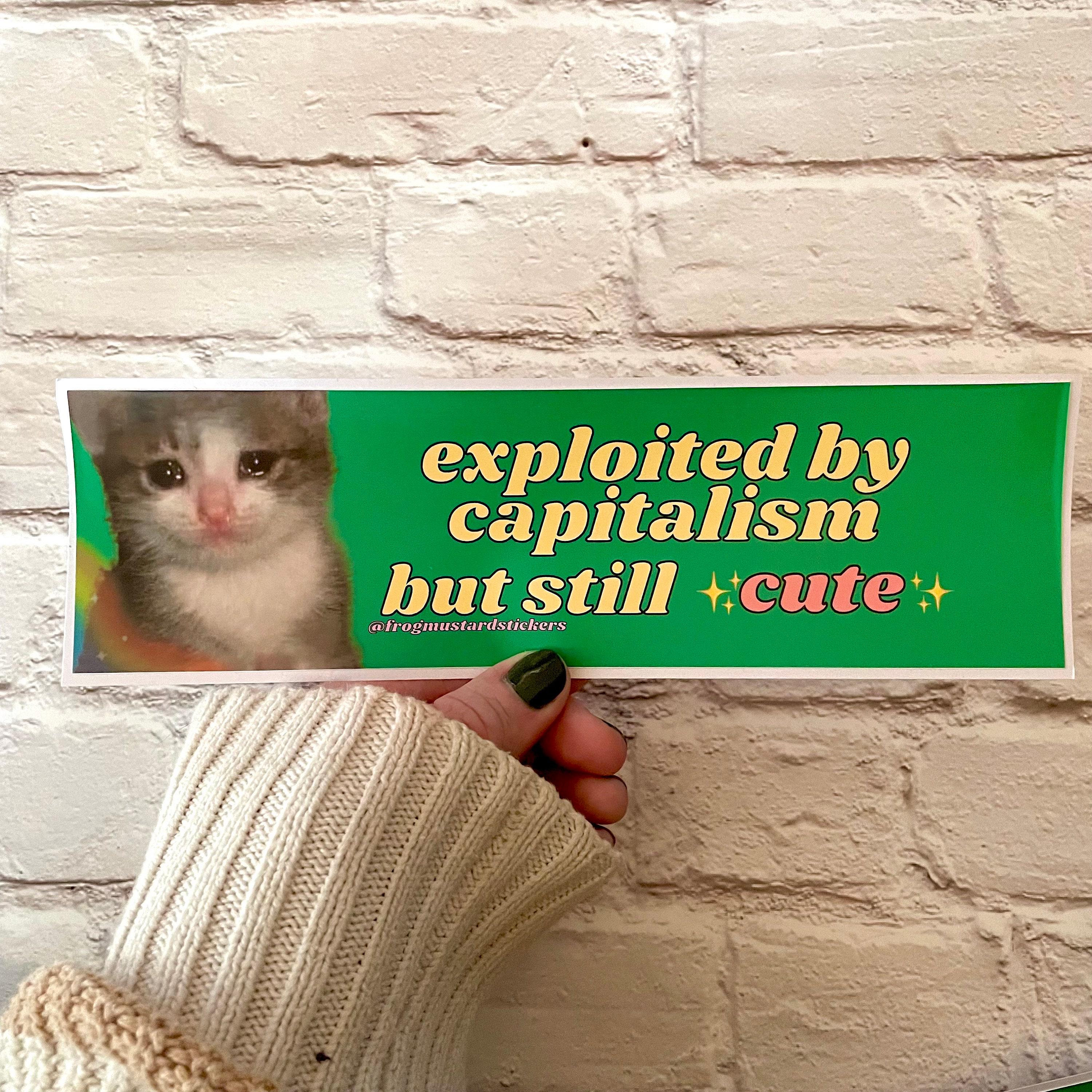 Exploited by Capitalism but Still Cute | Meme Gen Z Sticker | 8.5