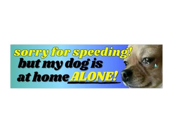 May include: A rectangular bumper sticker with a blue and green gradient background. The text reads "Sorry for speeding! but my dog is at home ALONE!" in yellow and black. A sad dog with a tear is in the corner.