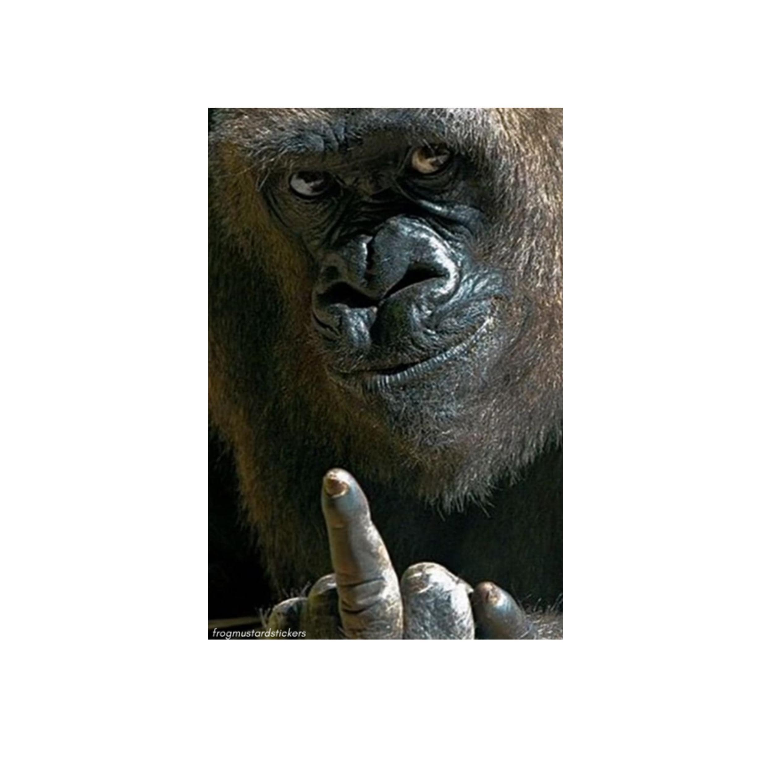 Gorilla Middle Finger | Funny Monkey Ape Sticker | 6" x 2.5" | Waterproof Bumper Sticker OR Magnet